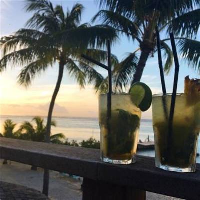 半岛彩票手机app下载