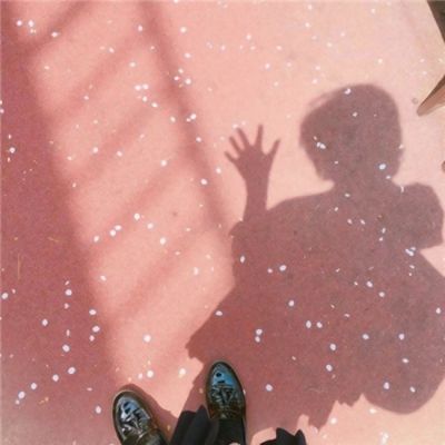 B体育手机版在线